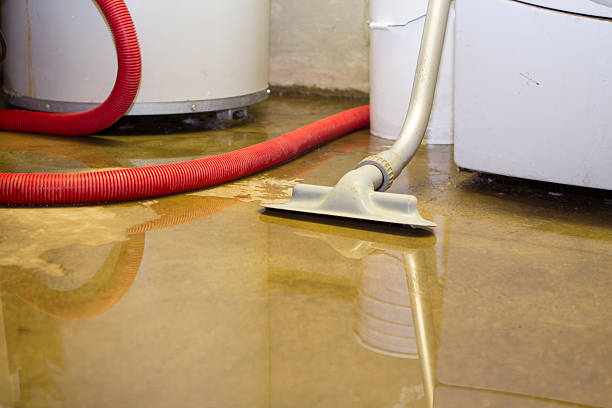 cleaning up a blooded basement. narrow depth of field.